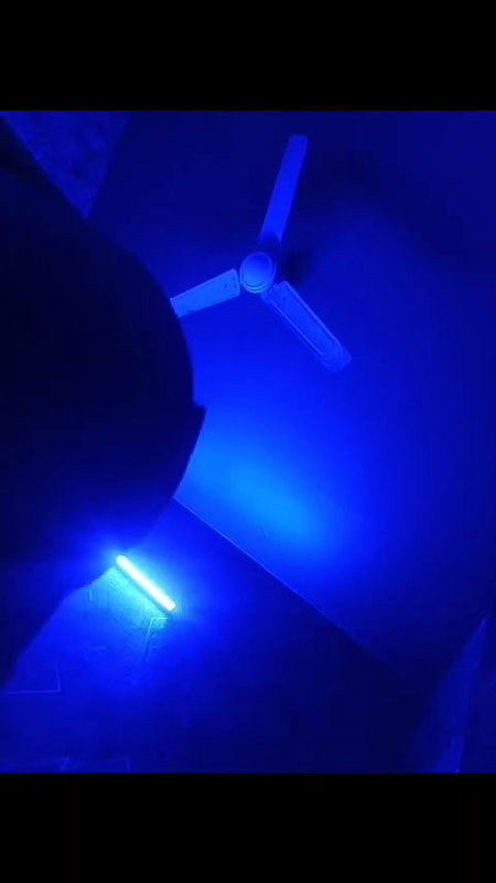 Paid Randi Sucking Customer Dick