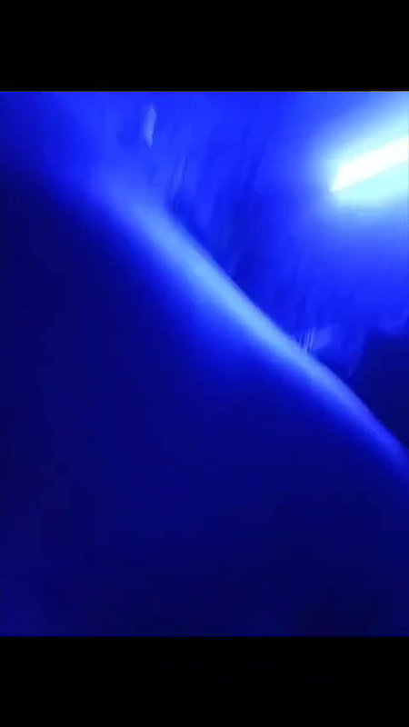 Paid Randi Sucking Customer Dick