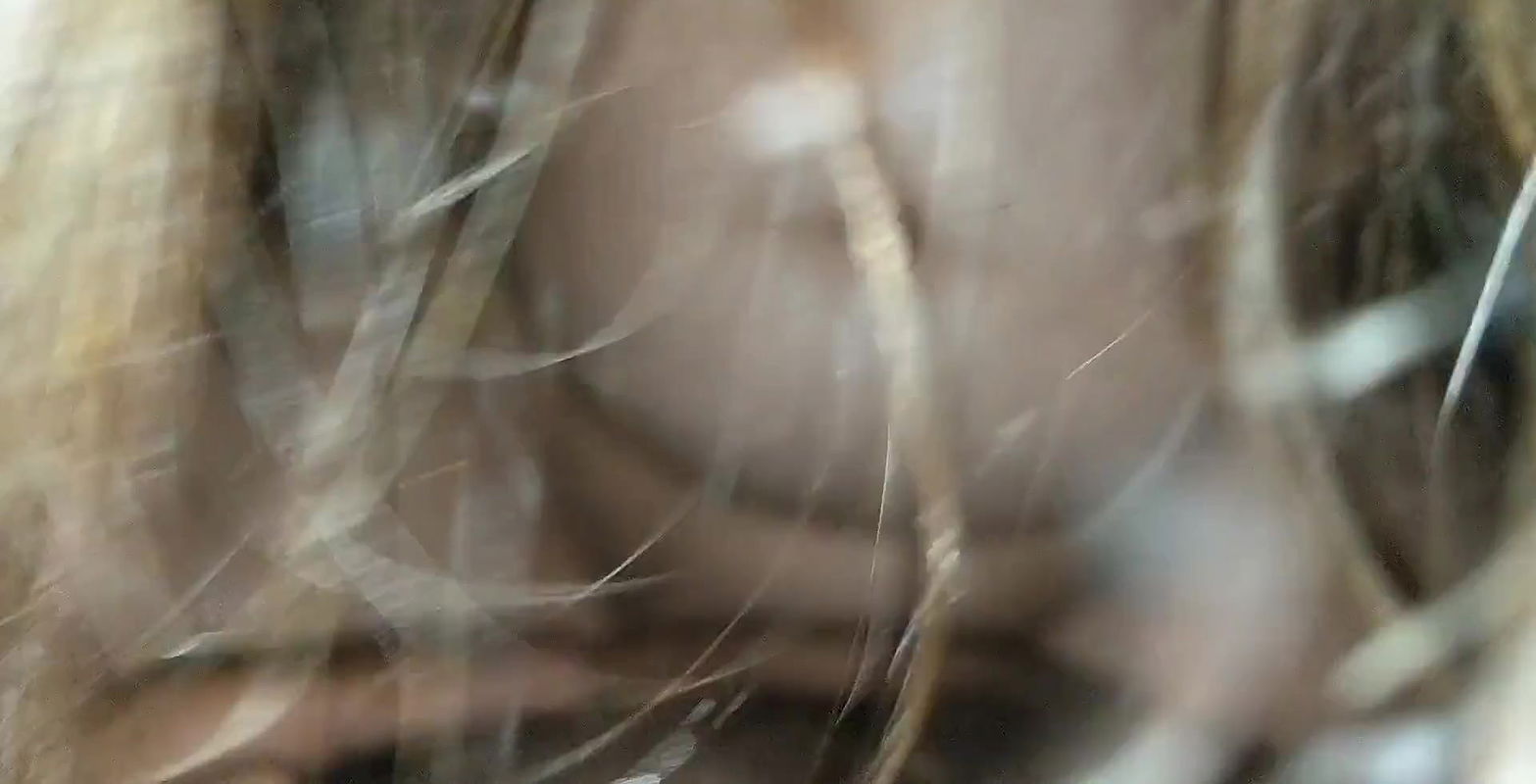 Desi Girl on my black dick