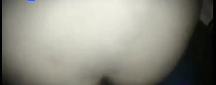 doggy style anal sex