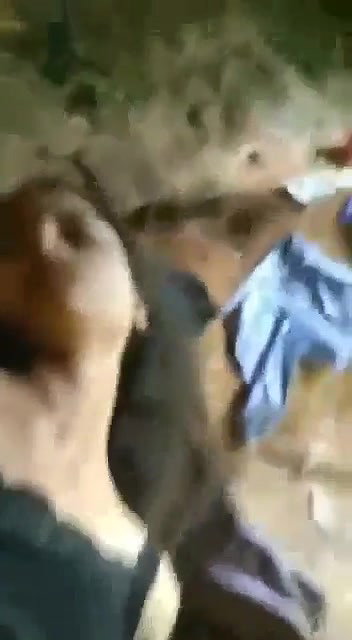 slim hairy pussy girl fucked