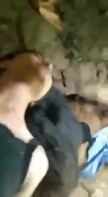 slim hairy pussy girl fucked