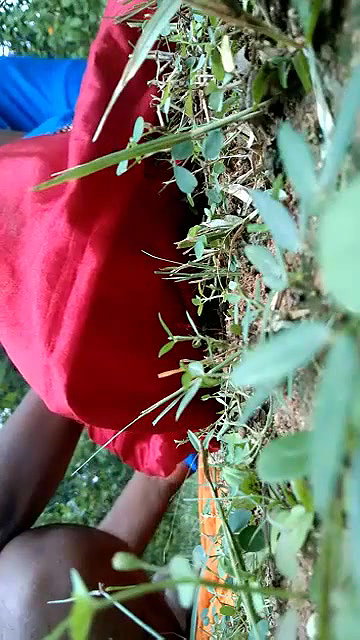 village girl fucked outdoors