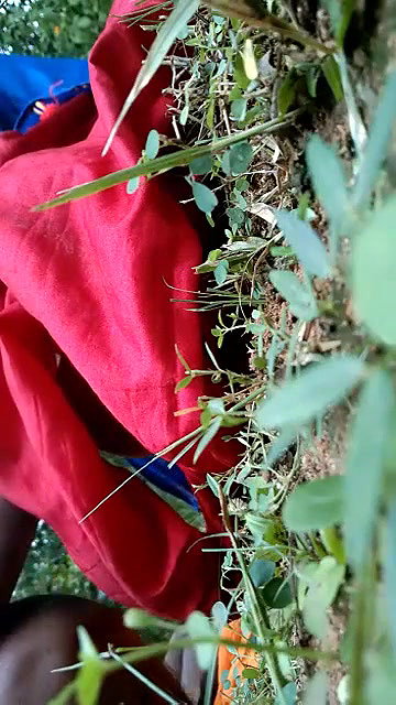 village girl fucked outdoors