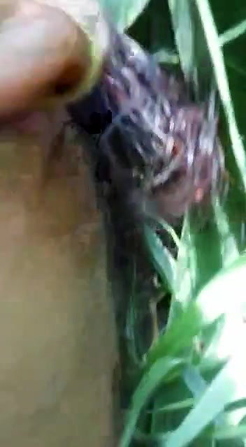 hardcore XXX sexy MMS