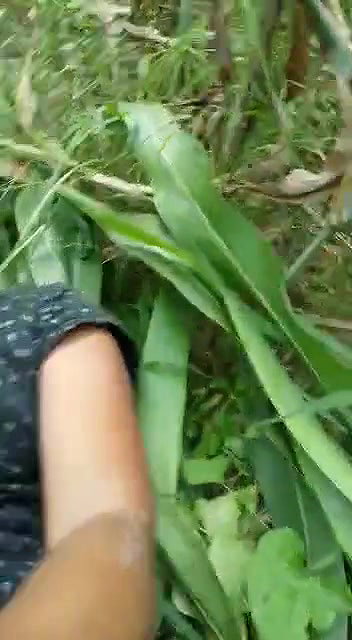 hardcore XXX sexy MMS