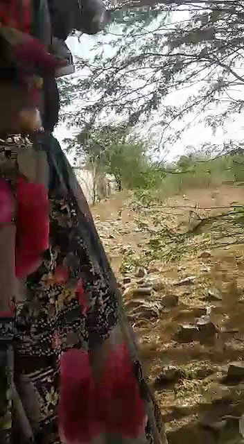 Indian Adivasi girl