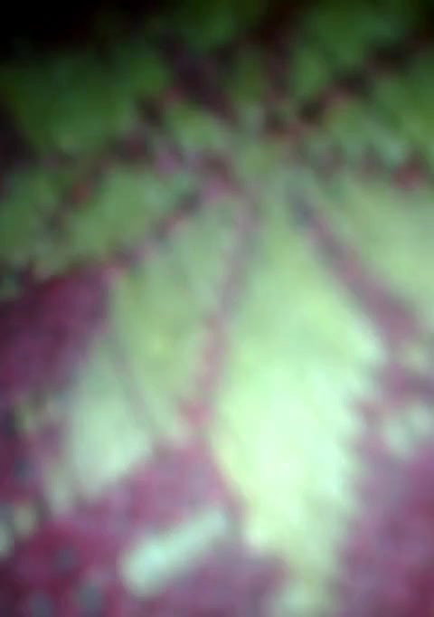 Village wife sex MMS