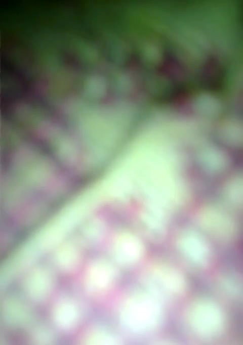 Village wife sex MMS