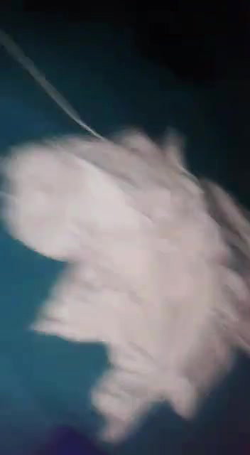Pathan wife sex
