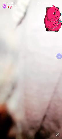 Myd-Max-vip-collection- 169