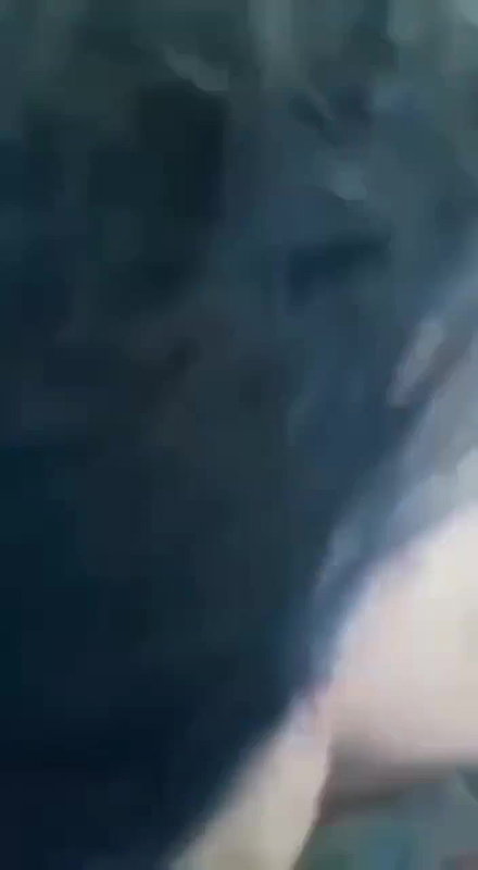 Horny Girl Sucking Boyfriend Dick