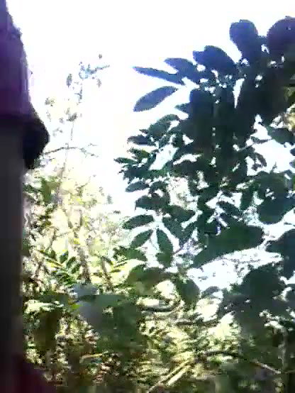Dehati XXX video of a maid