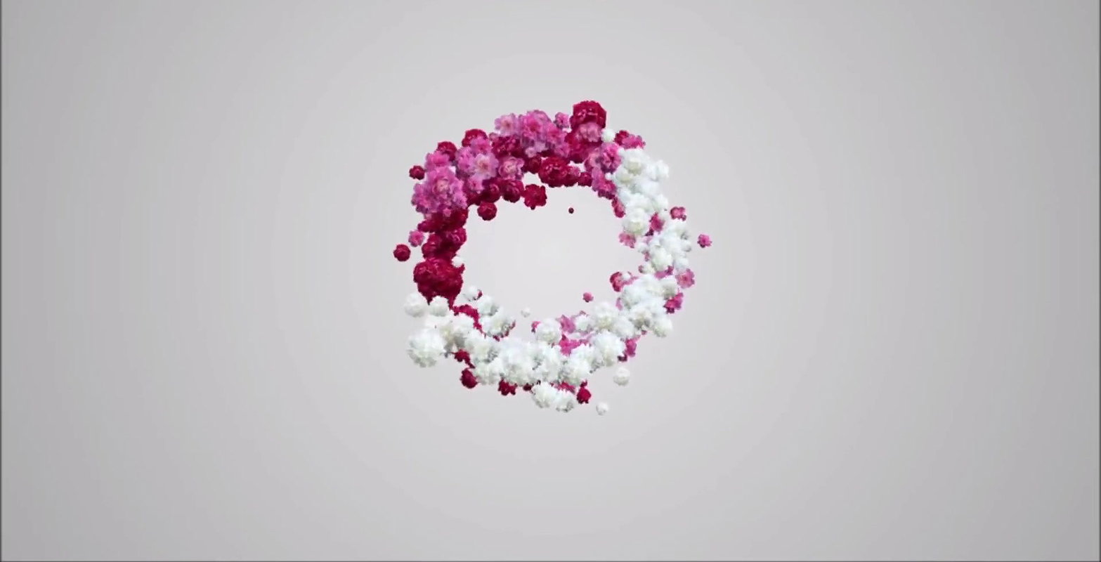 Her Tight Pussy Loves BBC