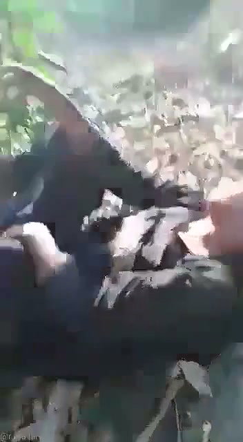 jungle mein ladki ko choda