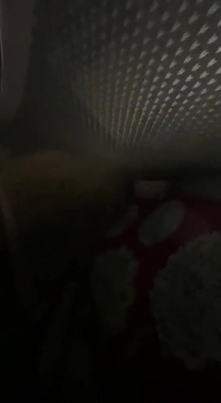 Girl riding hard inside the mosquito net