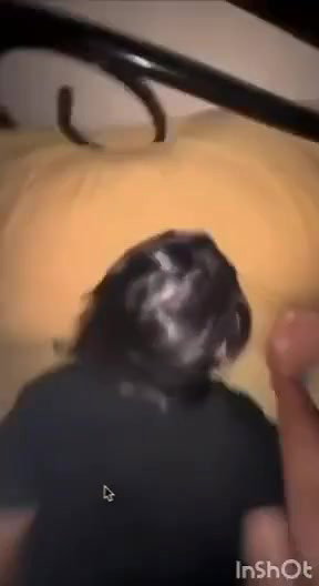 BBC taking on Doggy