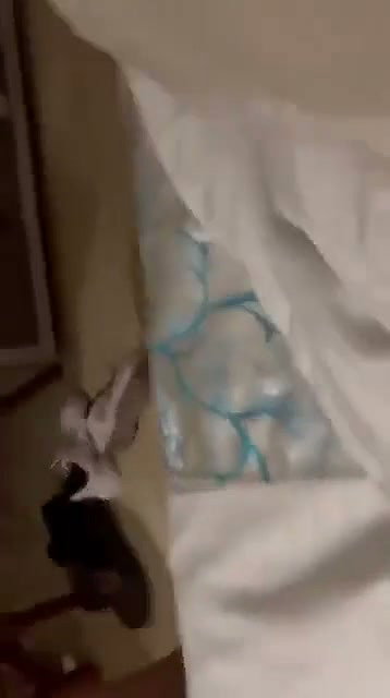 Desi Horny Lover Stand Fucking
