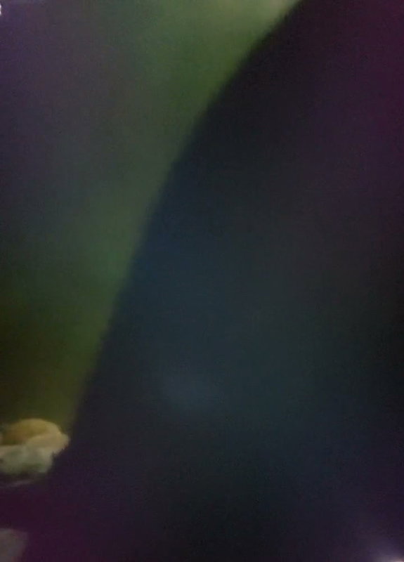 Radhasri telugu aunty tango premium show