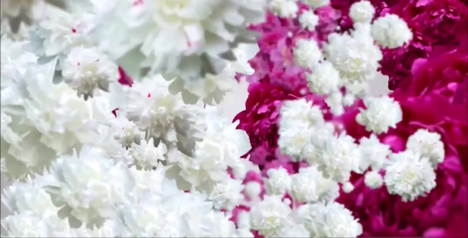 I Suck My Horny Neighbor BBC