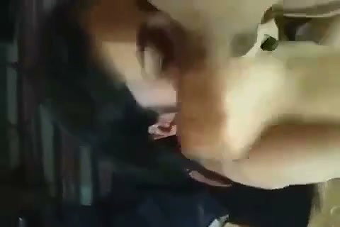 bj di gf ne