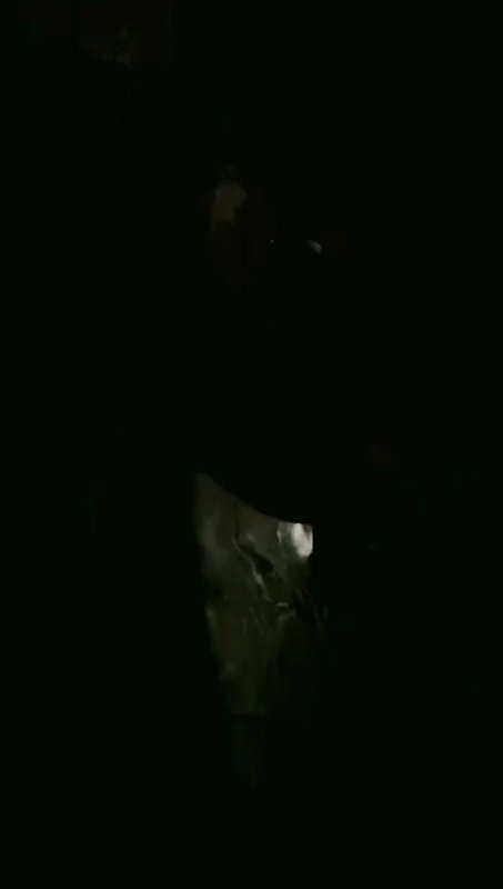 Desi aunty amrapali premium show 1