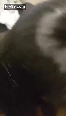 Stepbrother’s heart raced as he prepared for the rough, hard anal sex with his Indian stepsister