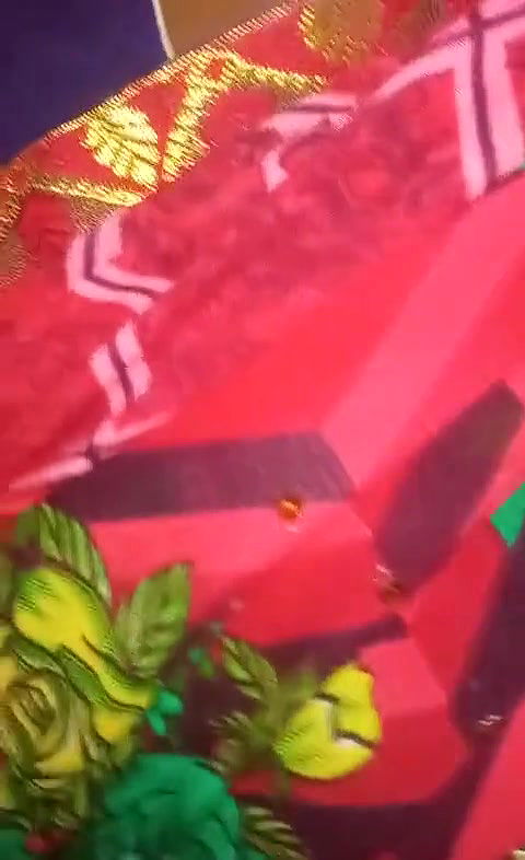 My stepbrother unbuttoned my saree and fucked my tight pussy xnxx nisha6262