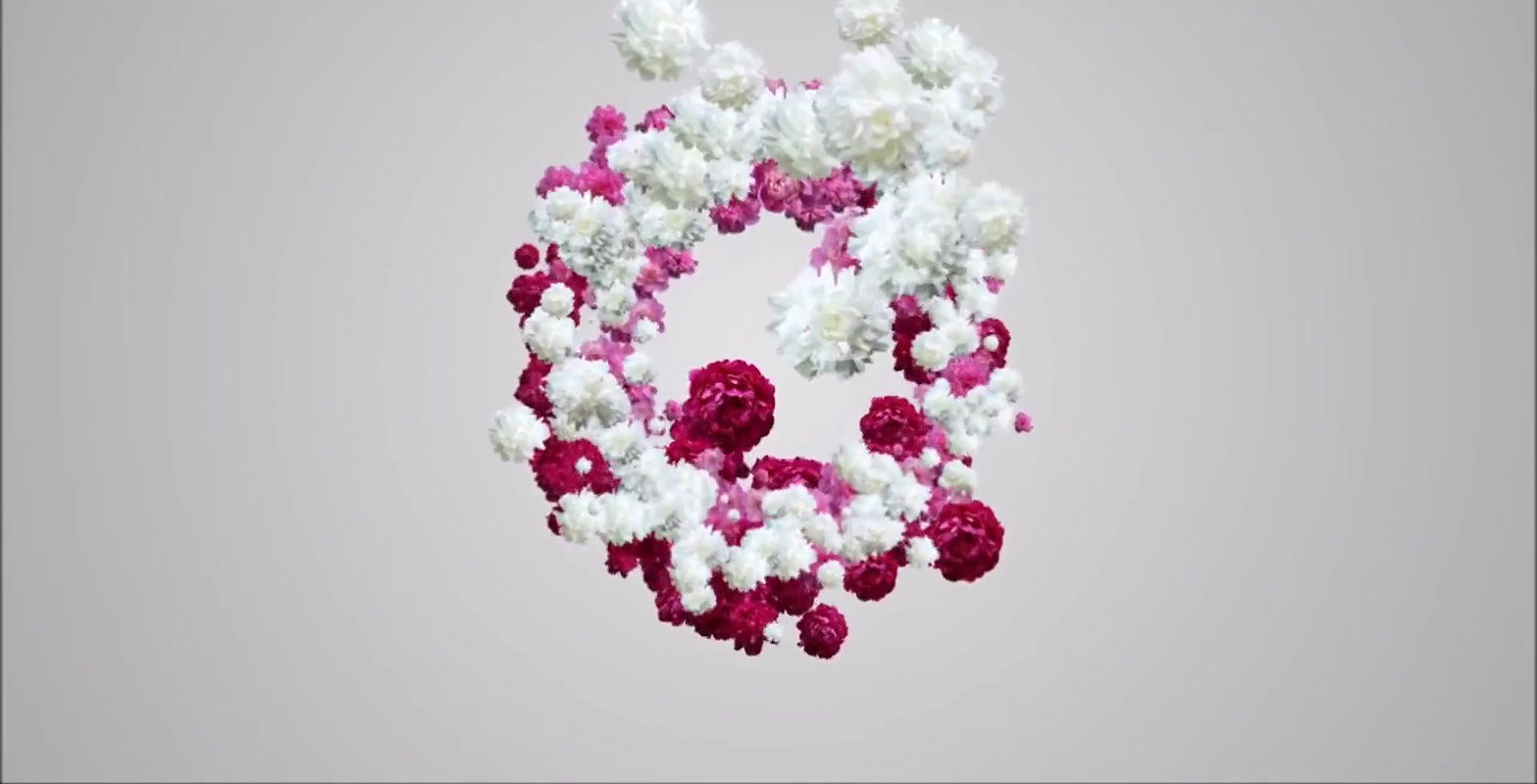 Online Stripper Show