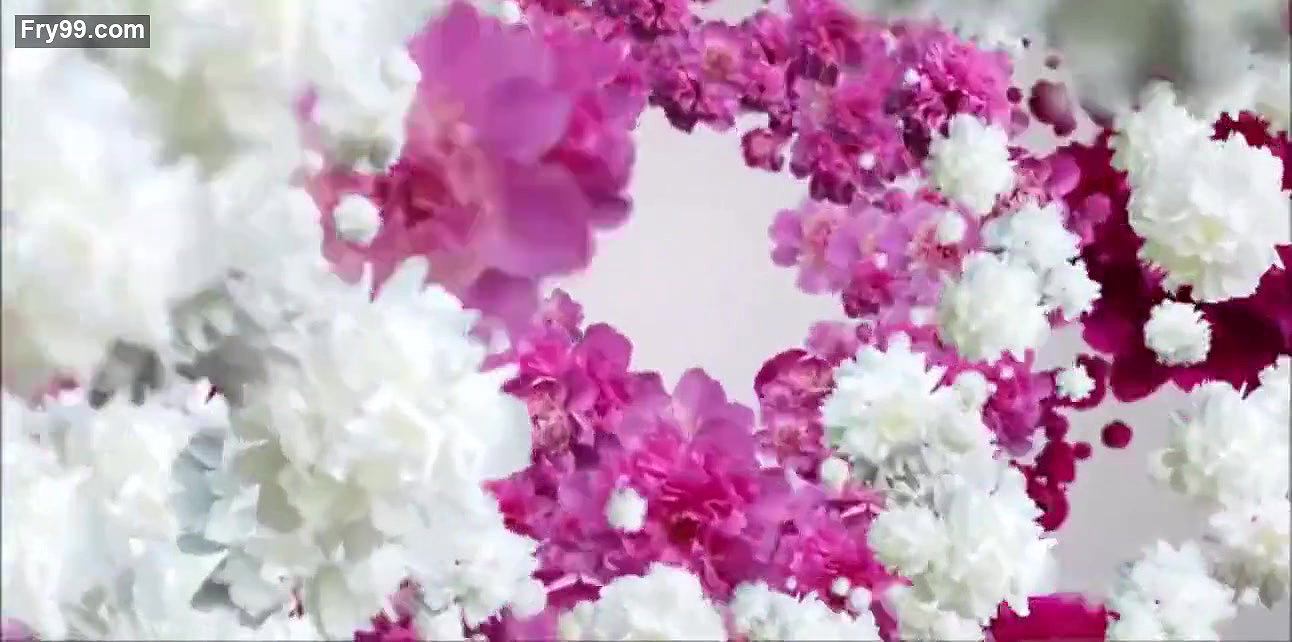 Sensual Foot Licking