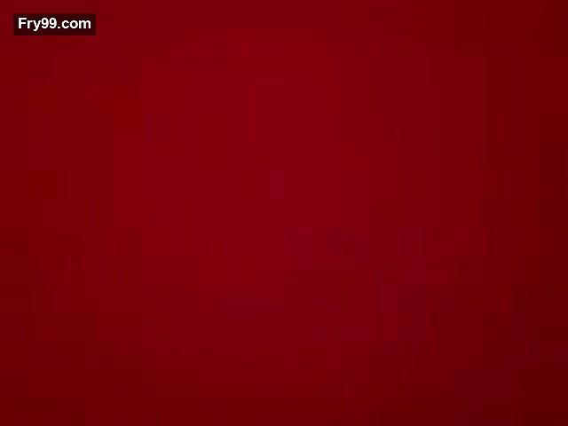 Delgi Married Live Webcam