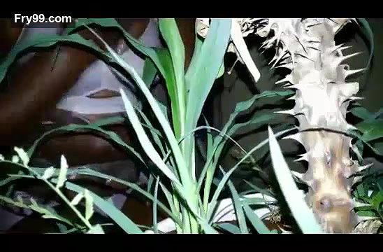 Jungle Mai Shower Camping