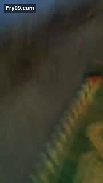 Desi Sudha Aunty Ki Phuddi