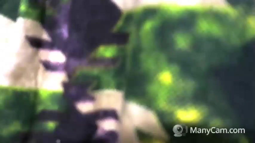 March cam Mega collection – 1991