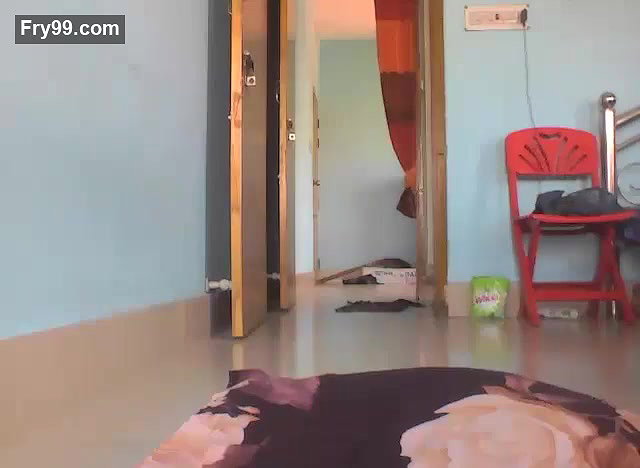Mumu Lion Webcam Show