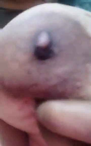 Cute Desi Village girl Shows her Boobs and Pussy