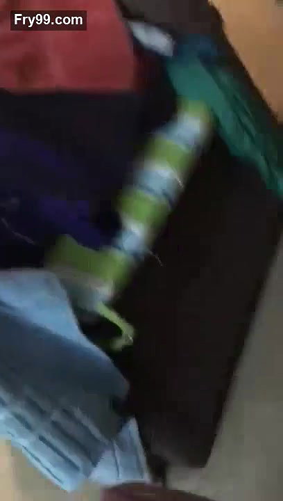 Gujarati Couple Hot Sex MMS
