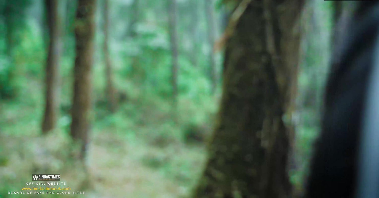 Apke StarSudipa ko Khule Jungle me Antim Khargosh ke Bhes me Khub Choda ekele me ( Hindi Audio )