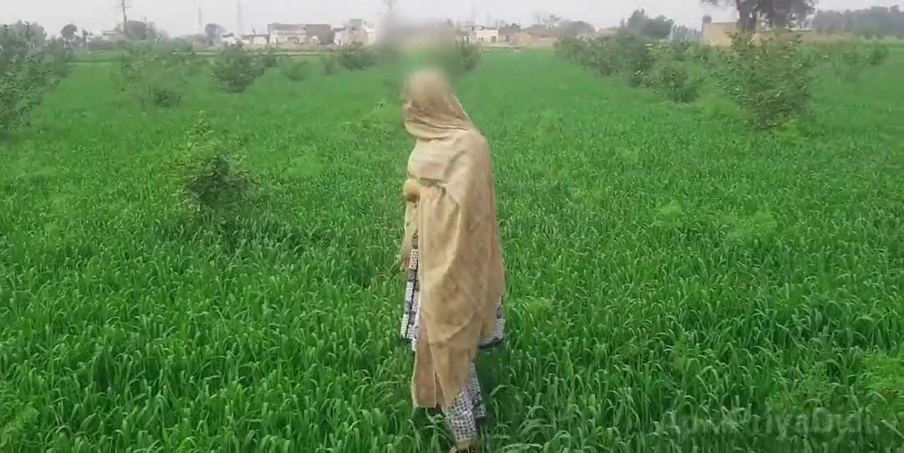 Hot pakistani cute girl sex with boyfriend Desi village girl hot sex Stepmom Fucking New Video