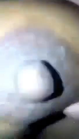 Horny Bhabhi Make Video For Lover