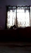 Desi Bhabhi Blowjob & Ridiing