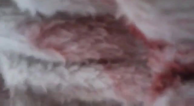 Shy punjabi Kudi enjoying fun time