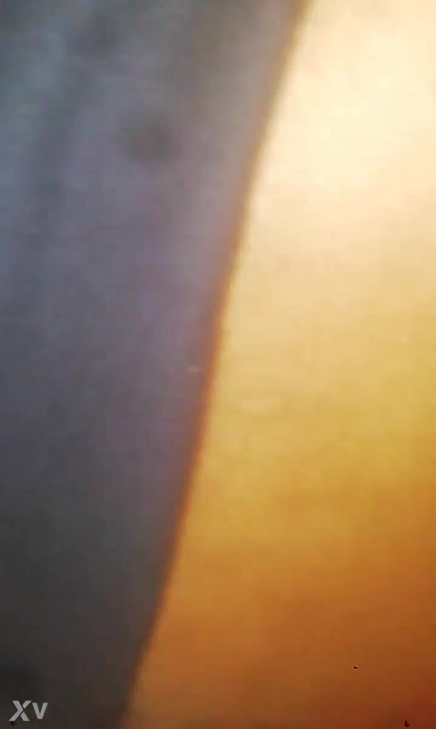 Wife’s pussy