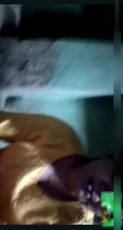 Desi Girl Shows Her Boobs On vC