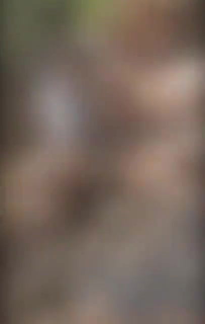 Horny Teen Cutie Flashing Her Tits and Fingering While Hiking a Nature Trail