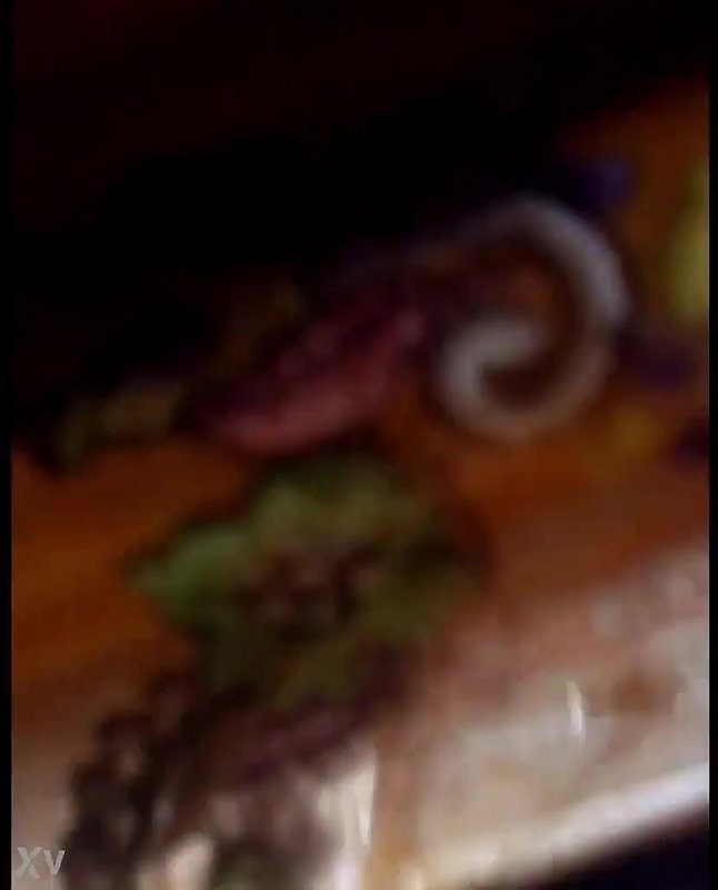 Desi gujrati bhabhi Fucking lovers Surat