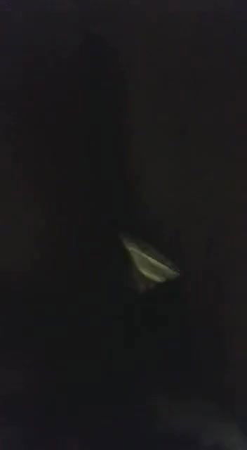 Beautiful Bhabhi Fucking With Bf