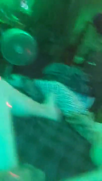 Indian Teen Sucks And Gets fucked