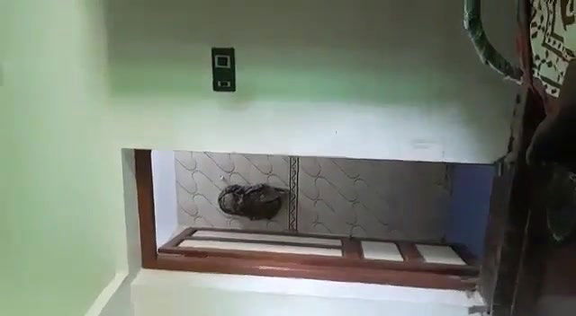 Mature Chubby Aunty Wearing Cloths