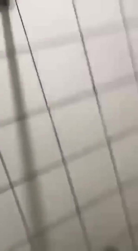 Couple fucking in toilet